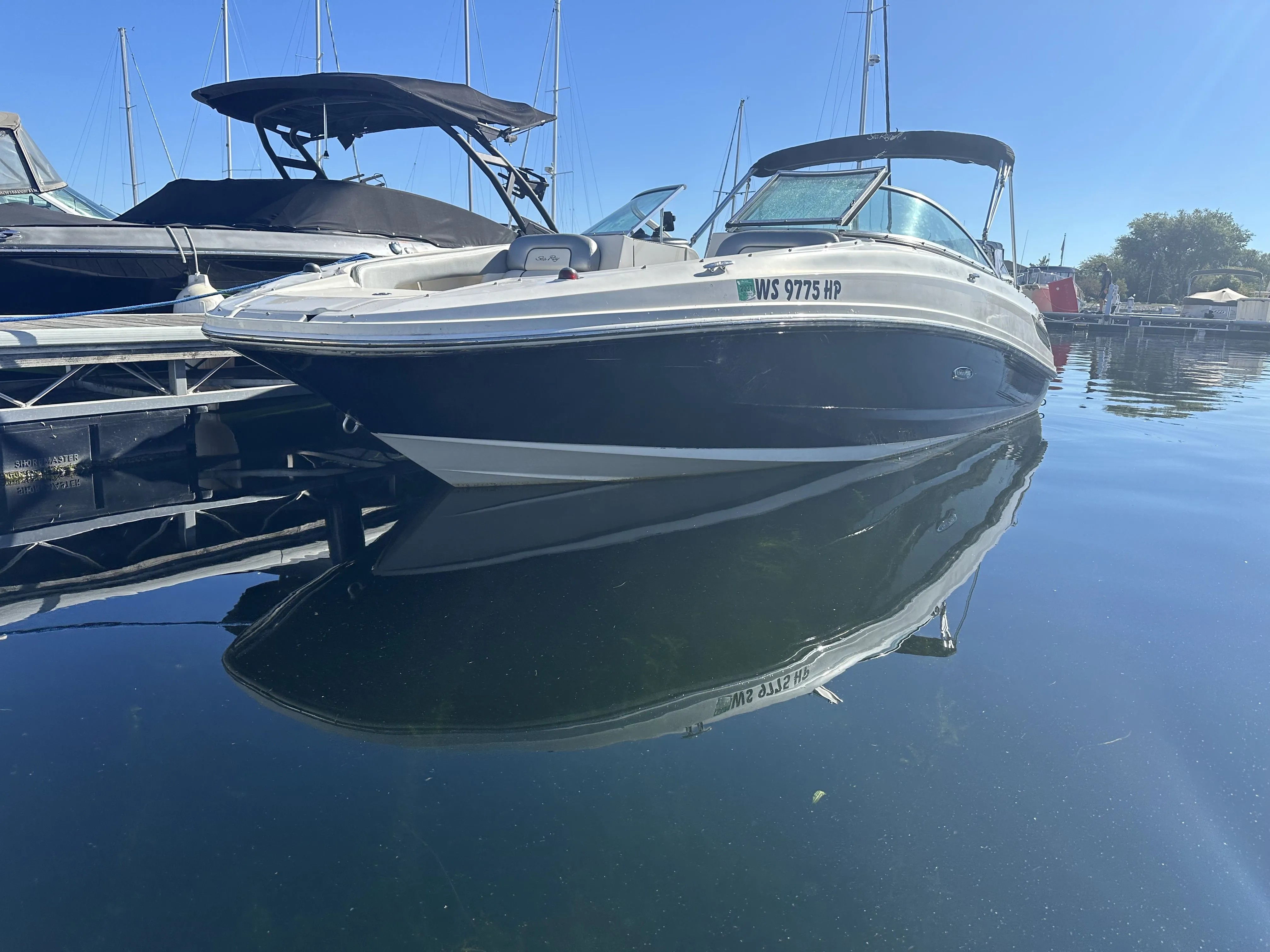2008 Sea Ray 210 SUNDECK Image Thumbnail #0