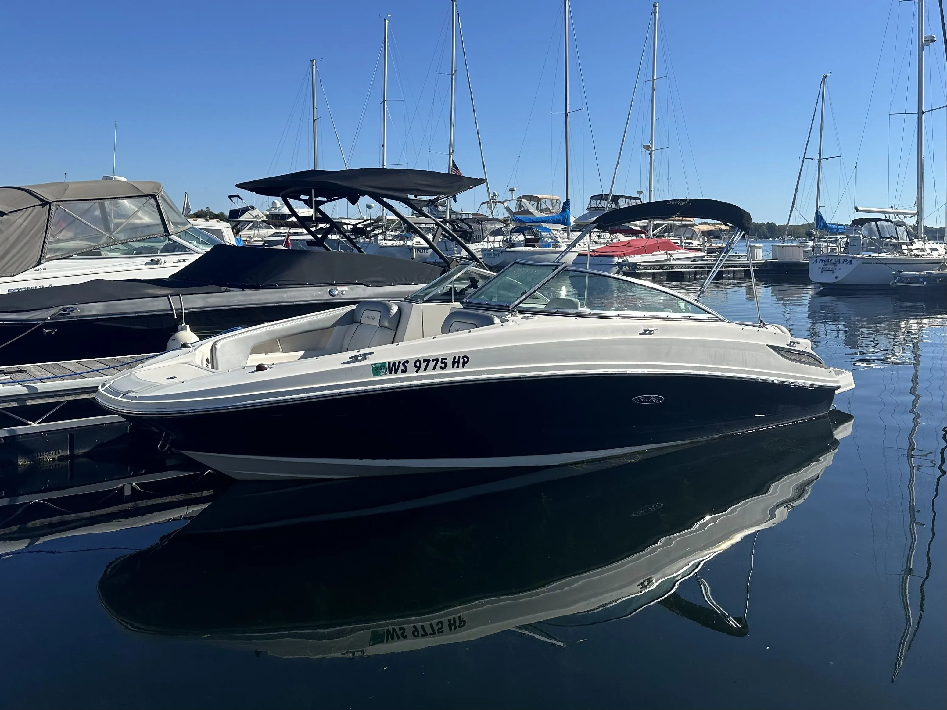 2008 Sea Ray 210 SUNDECK Image Thumbnail #1