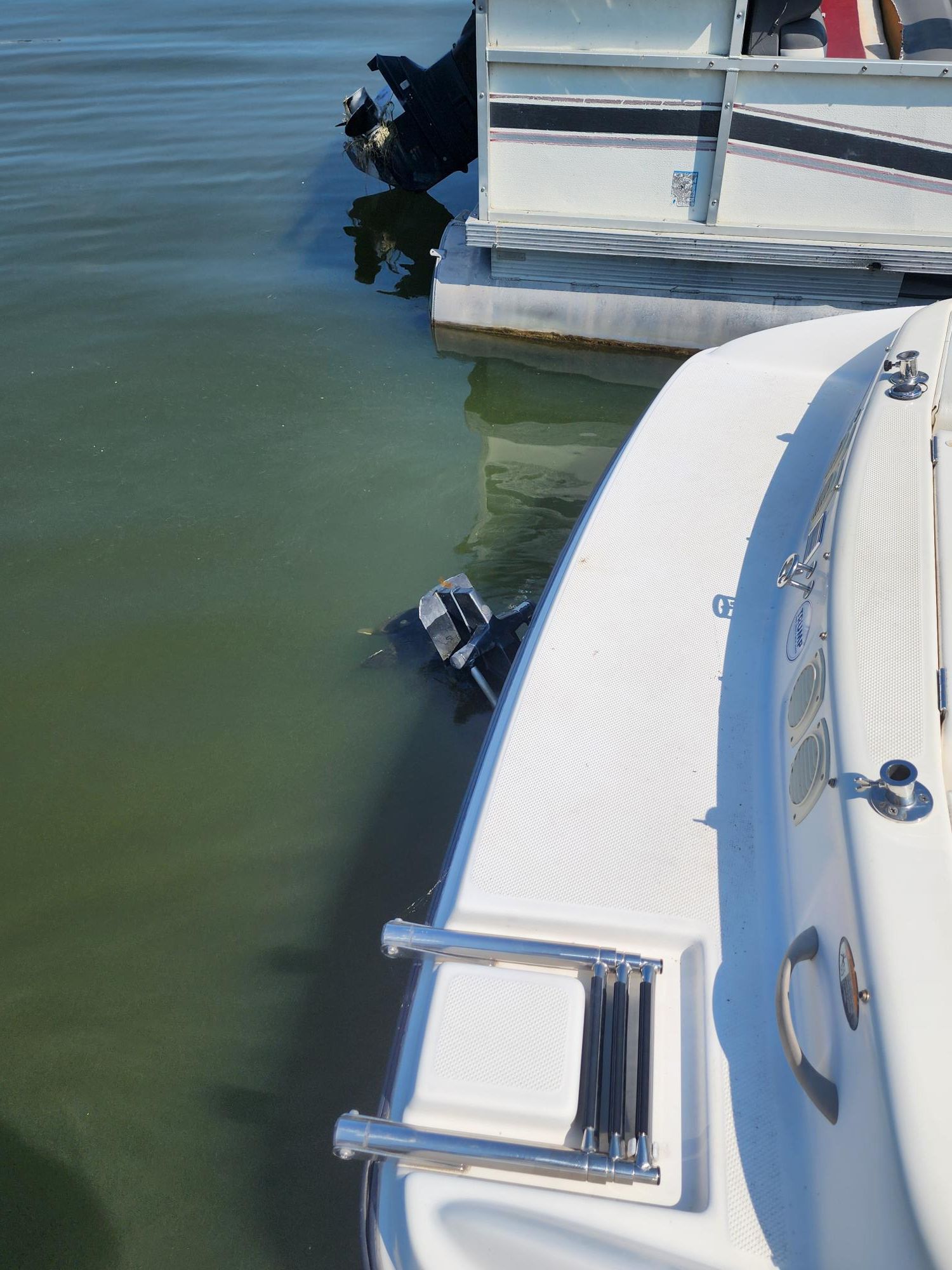 2003 Bayliner
                                                             205 BR Image Thumbnail #14