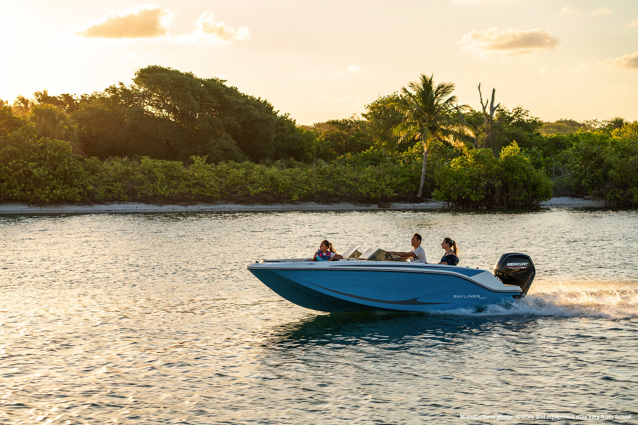 2025 Bayliner
                                                             M17 Image Thumbnail #0