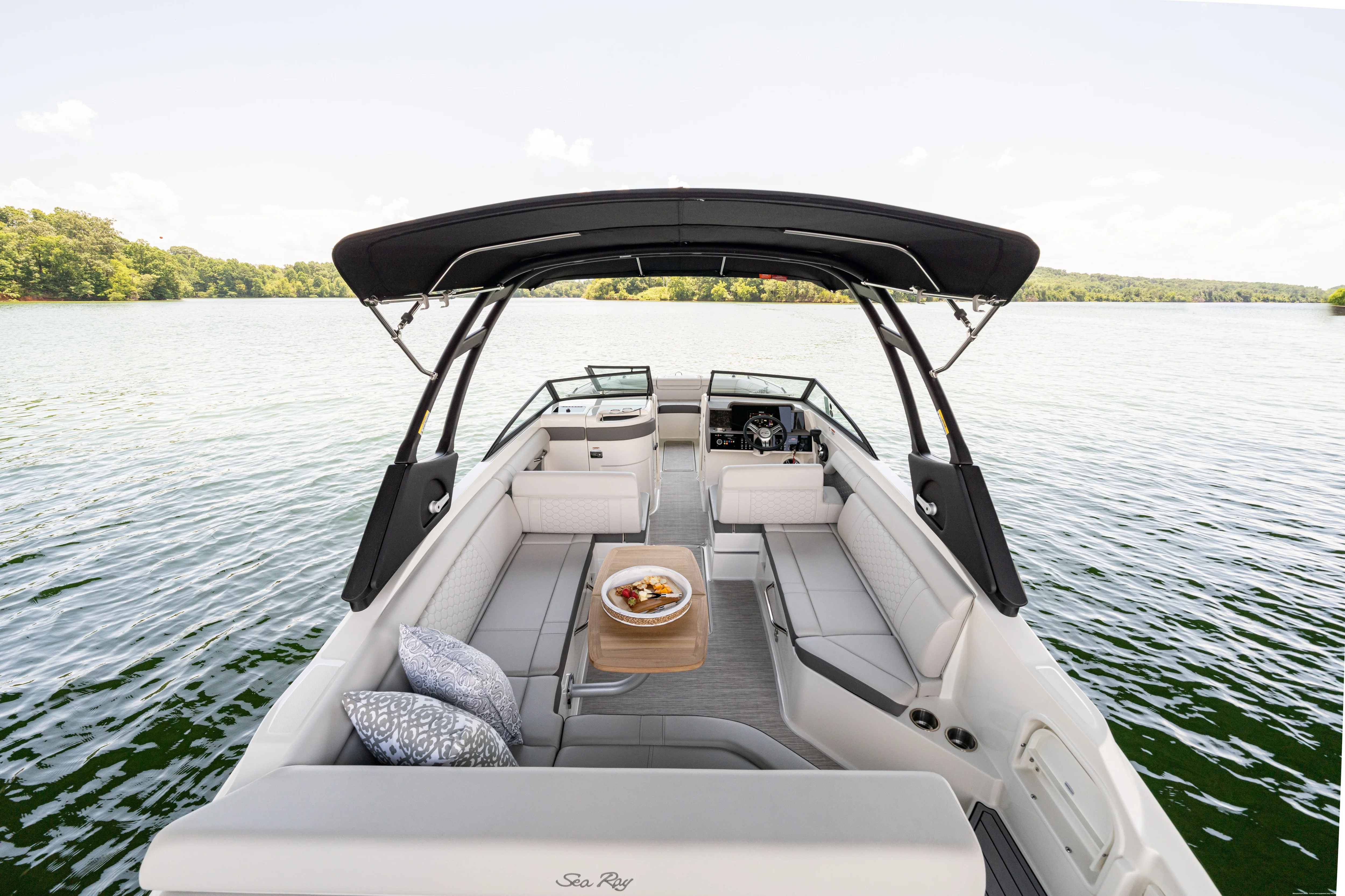 2025 Sea Ray SDX 270 Image Thumbnail #12