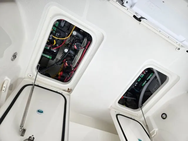 2023 World Cat 260CC Image Thumbnail #14